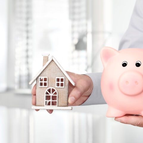 Asset Protection Trust